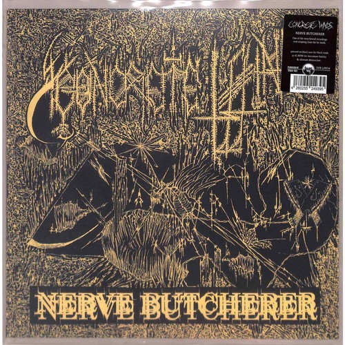 Concrete winds nerve - concrete,