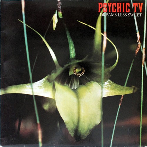 Psychic dreams less sweet - -,