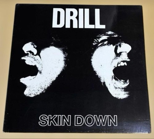 Skin down vinyl record - skin,