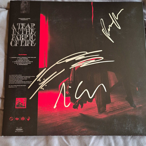 Vinile firmato sfuso - vinile,